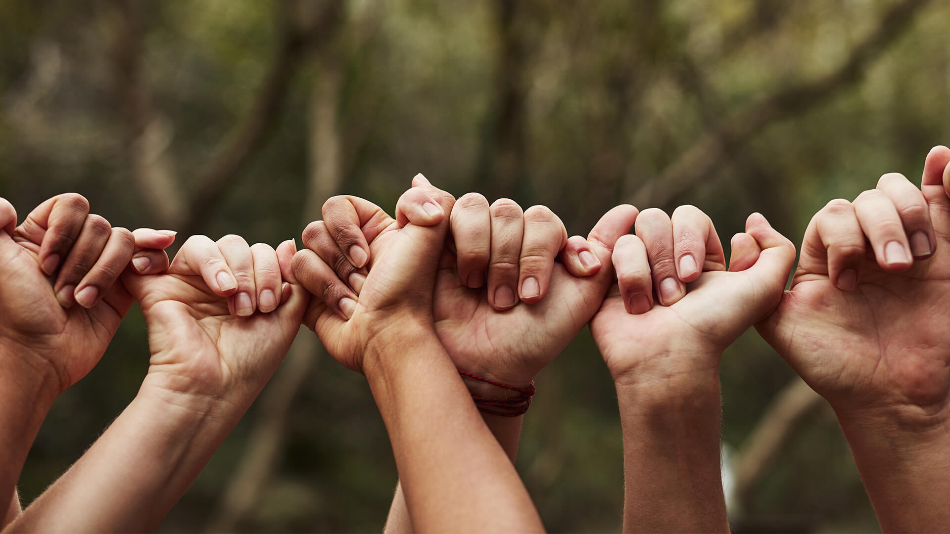 Mani di più persone unite in fila con i mignoli intrecciati, alberi sfocati sullo sfondo